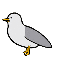Bird Love Sticker