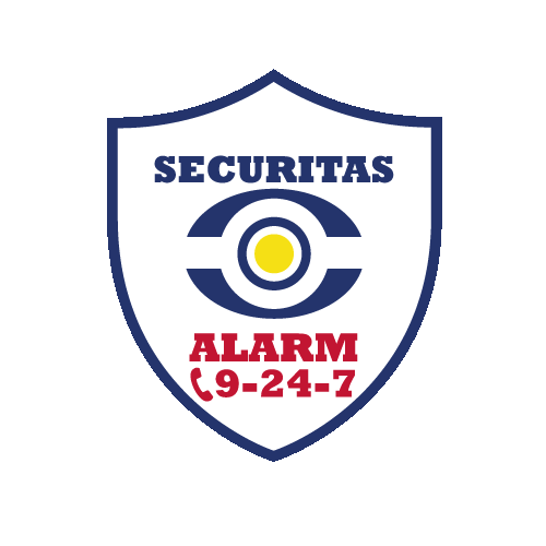 Securitas giphyupload security curacao securitas Sticker