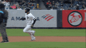 Jomboy  GIF