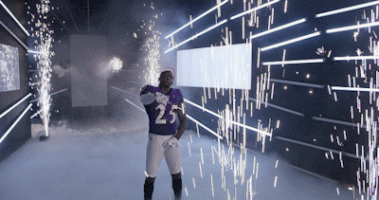 Dance Reaction GIF by Baltimore Ravens