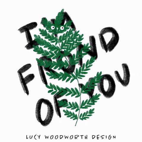 I Love You Valentines GIF by Lucy Woodworth Design