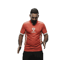 Match Cricket Sticker by Dream11