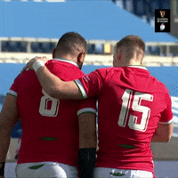 Wales Rugby Friends GIF by Guinness Six Nations