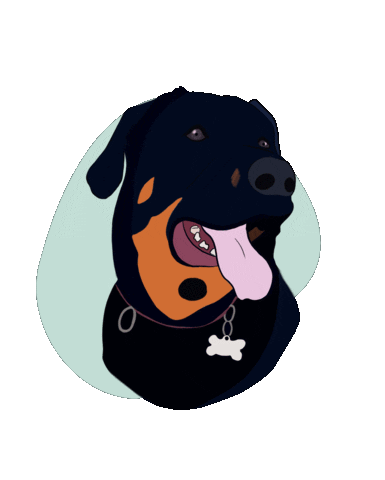 Dog Chien Sticker