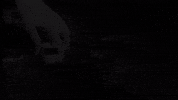 Driving Youtube GIF