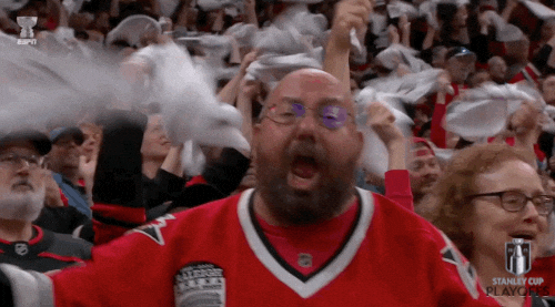 Happy Carolina Hurricanes GIF by NHL