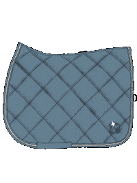 Reiten Sattel Sticker by RidersDeal