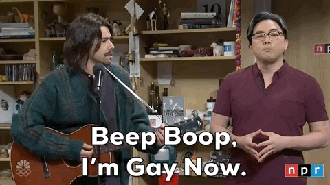 Gay Snl GIF by Saturday Night Live