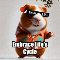 Wisdom Acceptance GIF by Guinea Gambino
