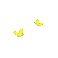 Animation Dancing Sticker