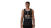 Partizan Sticker by sportmts