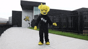 Wu_Shock dance wu wsu wushock GIF