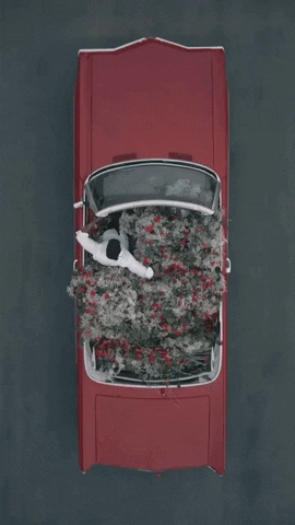 METCHA giphyupload car flowers leather GIF