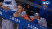 New York Mets Baseball GIF by SNY