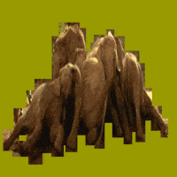GIF by Lorna Mills