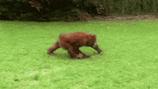 GIF by Digg