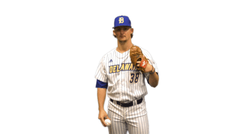 College Sports Baseball Sticker by Delaware Blue Hens