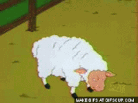 lamb GIF