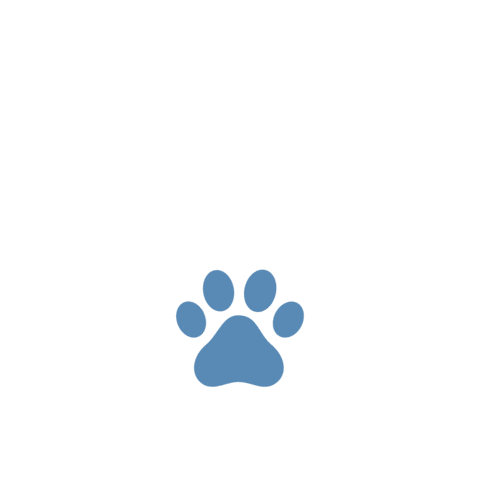 Cat Dog Sticker by VetPartners