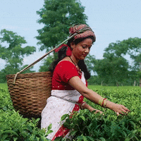 MakingCentsIntl women youth socialenterprise yeo2030 GIF
