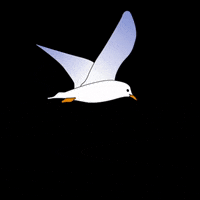 LaRaoul59 beer cheers sea beers GIF