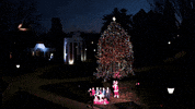 Christmas Tree GIF by fairfieldu