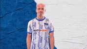 Dj Bundesliga GIF by Hertha BSC