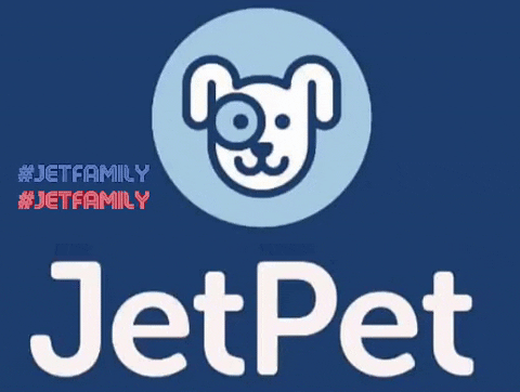 Jetpetresort giphyattribution GIF