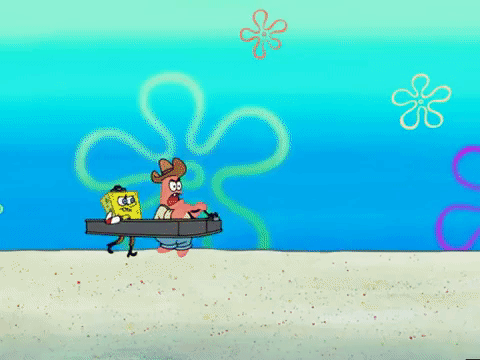season 5 GIF by SpongeBob SquarePants