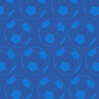 Soccer Player Football GIF by Pudgy Penguins