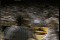 happy southern illinois GIF by SIUSalukis