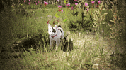 Valentines Day Game GIF by BlackDesert