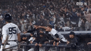 Celebrate New York Yankees GIF by MLB