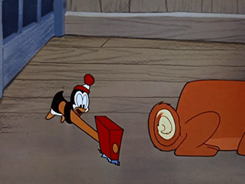 chilly willy cola GIF