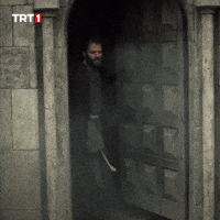 Door Enemy GIF by TRT