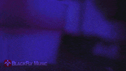 Drunk Beer GIF by BlackFly Music