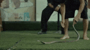 Music Video Snake GIF by Karan Aujla