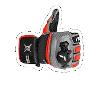 Racing Sticker by Reusch