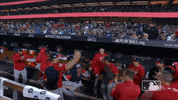 Major League Baseball Sport GIF by MLB
