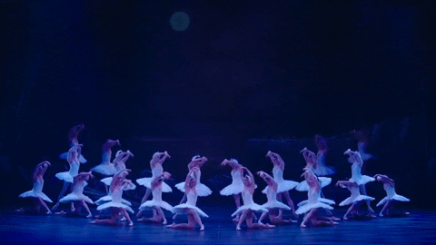Swanlake GIF by English National Ballet