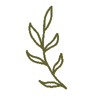 Verde Naturaleza Sticker by Colach