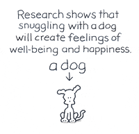 dogs love GIF by Chippy the Dog