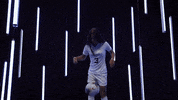 North Carolina GIF by UNC Tar Heels