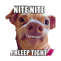 Good Night Sticker by imoji