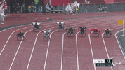 Paralympic Games Sport GIF by International Paralympic Committee
