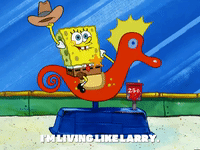 season 6 GIF by SpongeBob SquarePants