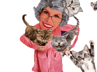 Cat Lady Sticker by TVDICASDERELACIONAMENTO