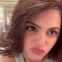 Shorthair Pout GIF
