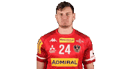 HandballAustria handball ohb handball austria daniel dicker Sticker