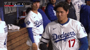 Los Angeles Dodgers GIF by MLB